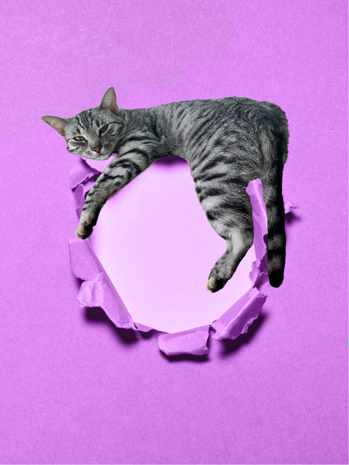 Anni-Banani