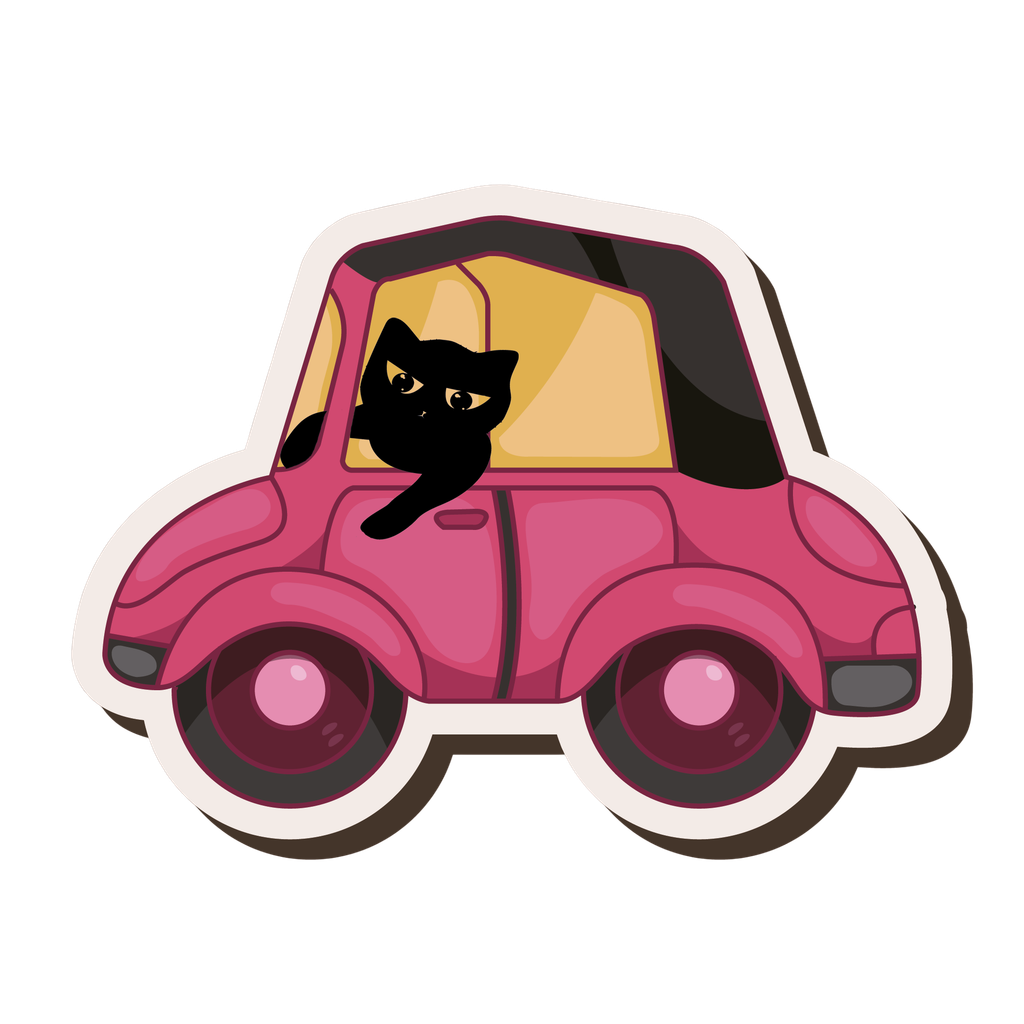 Katze im Tierarzt-Taxi
